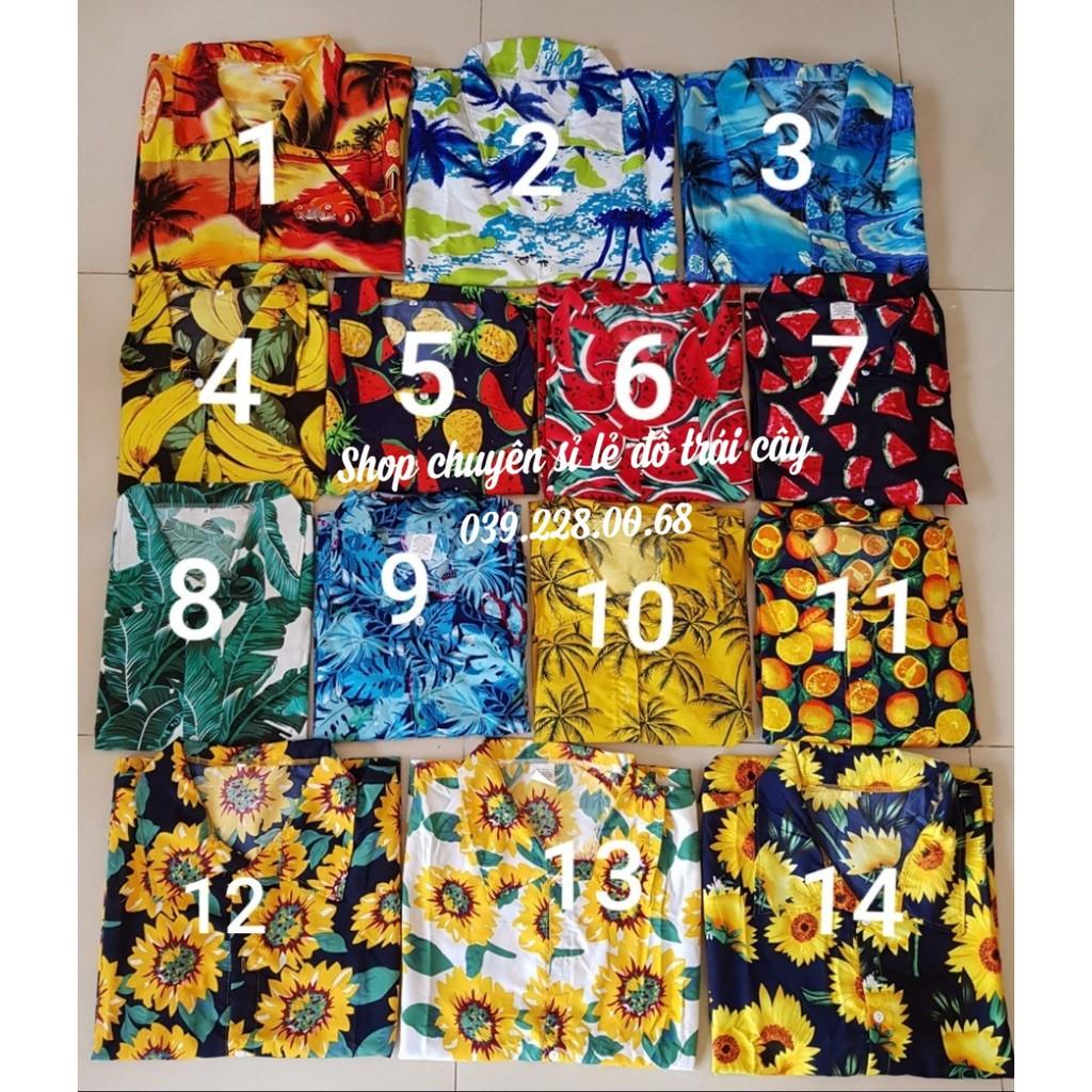 Set bộ trái cây đủ mẫu y hình đi biển cho gia đình, đủ size big size