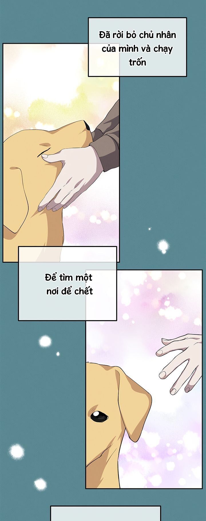 hãy trả lời em, hoàng tử! chapter 18 4