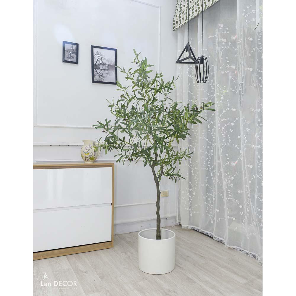 Cây giả - Cây oliu trang trí nhà, tiểu cảnh ban công đẹp cao 165cm - LC3045