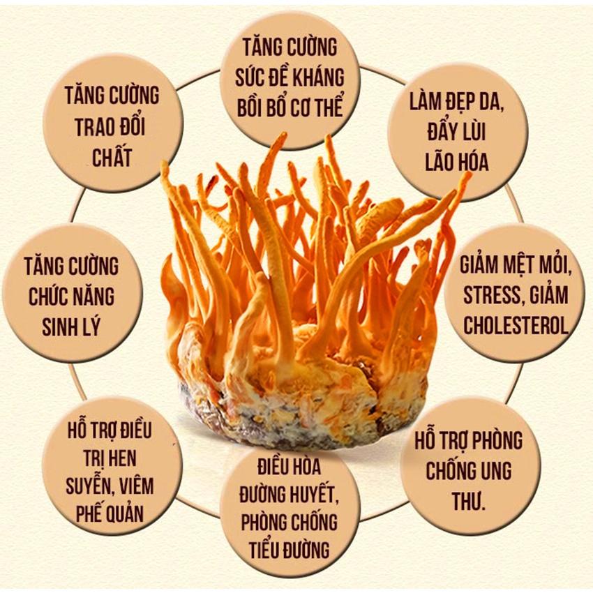Nước Uống Đông Trùng Hạ Thảo BIOK Hỗ Trợ Miễn Dịch