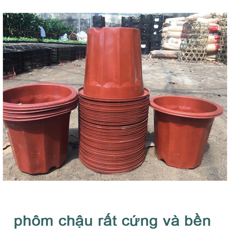 10 CHẬU nhựa trồng cây E320 chất lượng dáng cao giữ ẩm được lâu hơn đường kính 26.5x25cm-77496