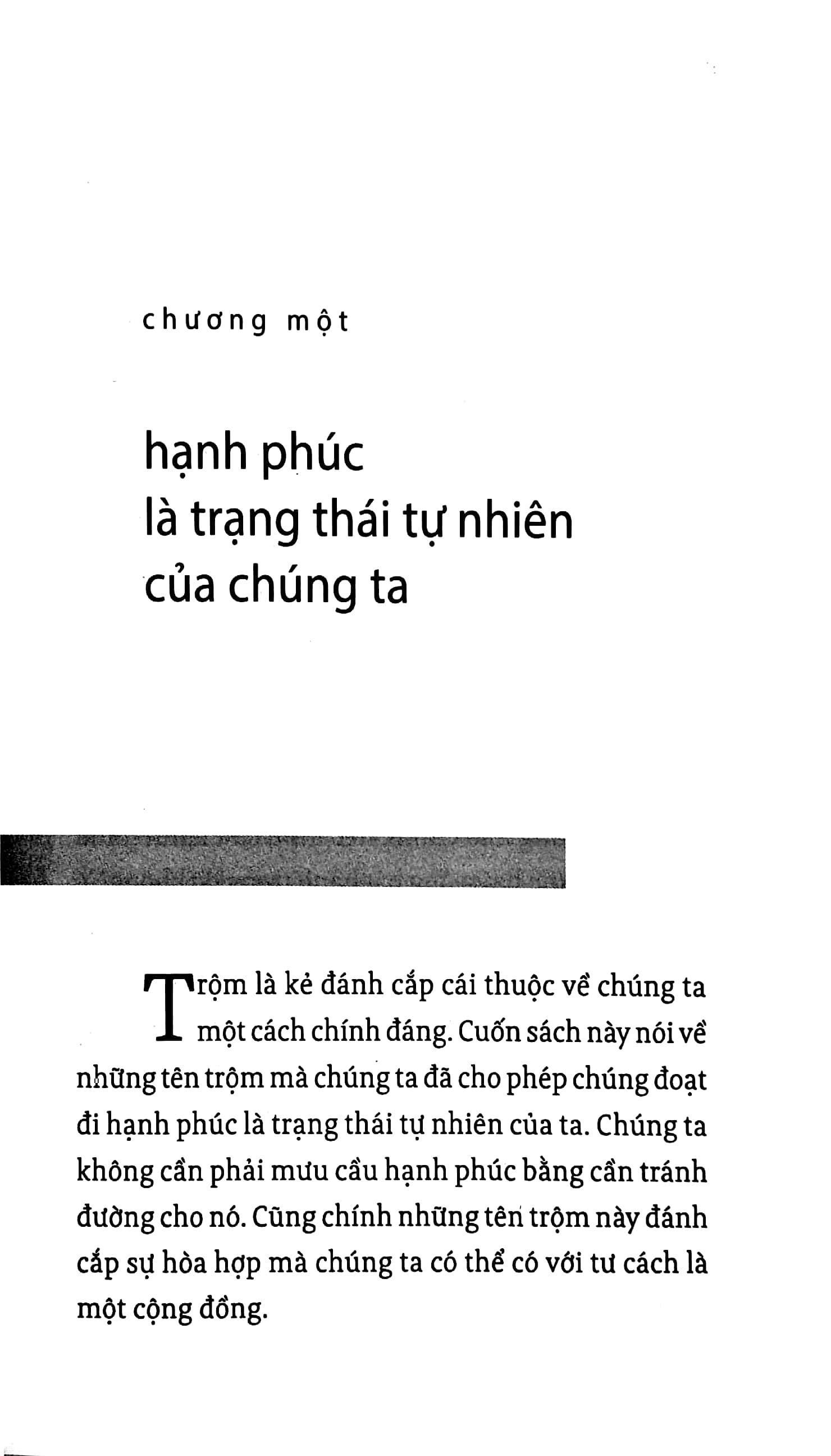 Năm Kẻ Trộm Hạnh Phúc