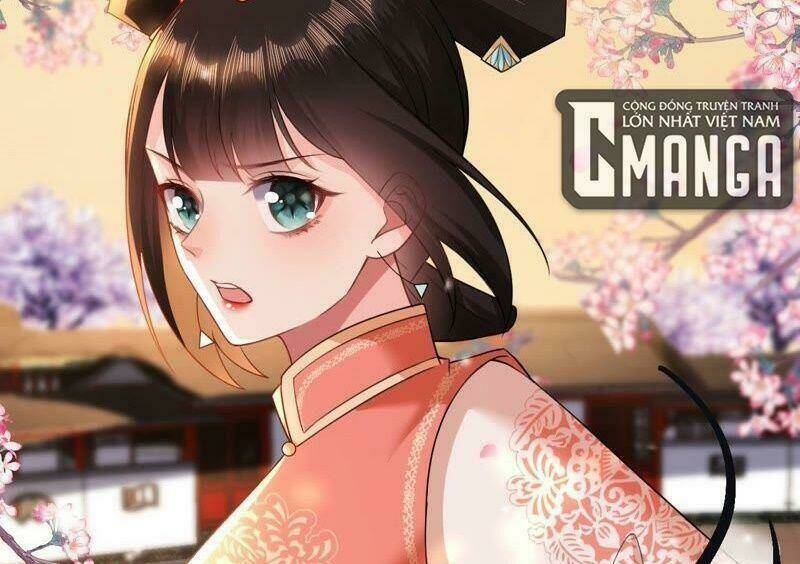 quận chúa vững vàng, thiết lập nhân vật không thể vỡ chapter 59 47