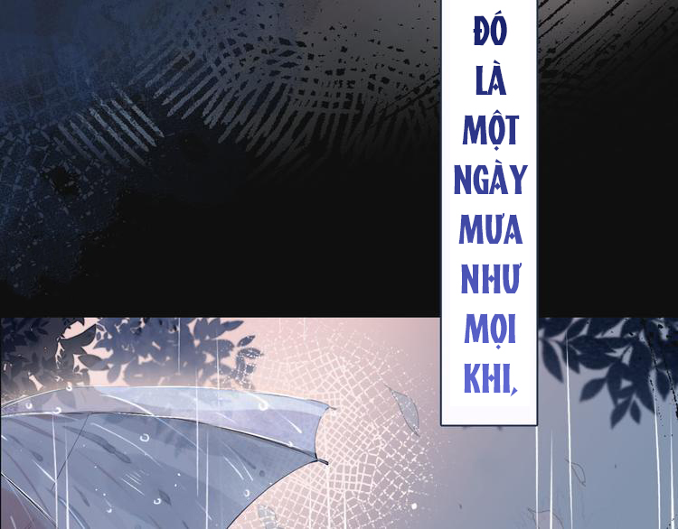 nỗi buồn của hoa cẩm tú cầu chapter 0 35