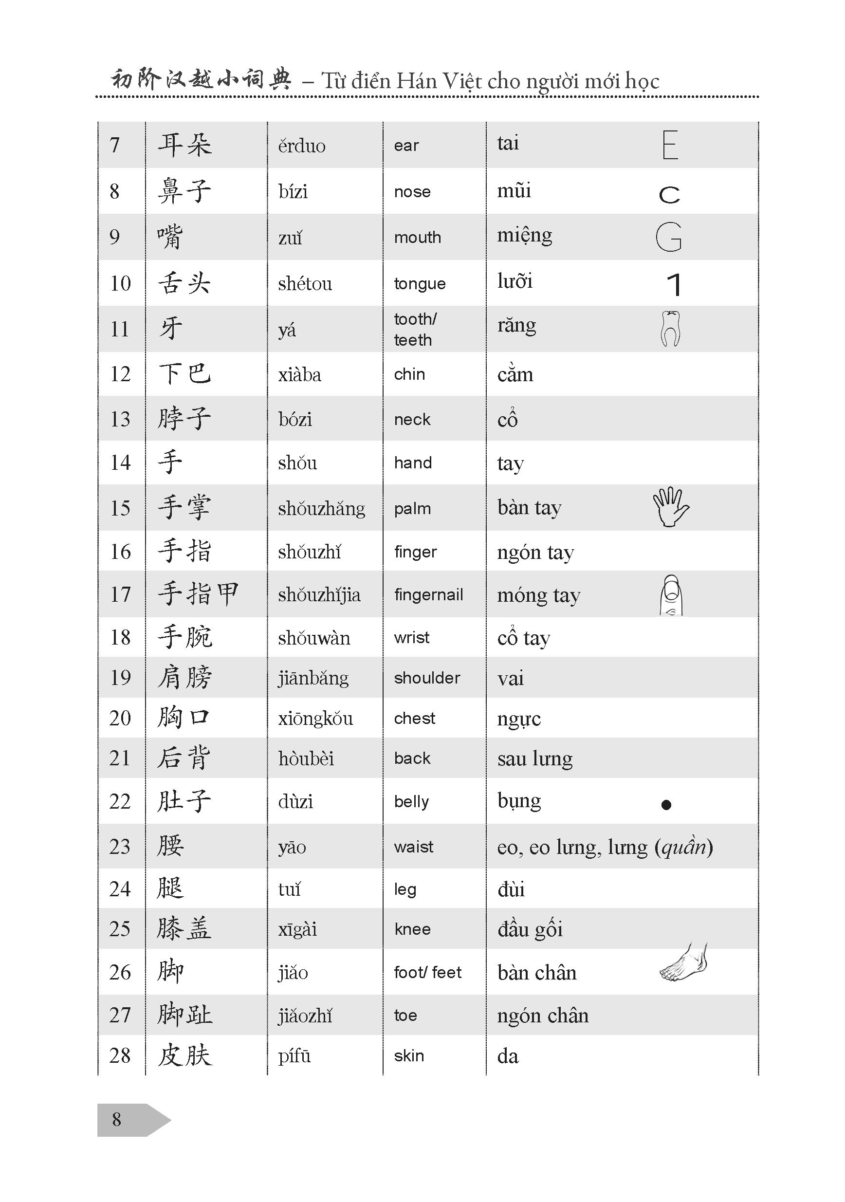 Từ Điển Hán Việt Cho Người Mới Học