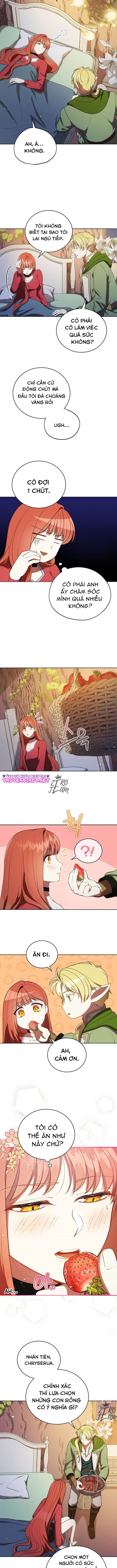 kẻ truy đuổi của bình minh chapter 17.2 3