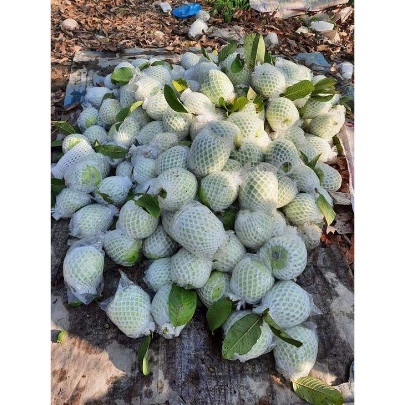 1 kg XỐP BỌC ỔI ĐẦY ĐỦ