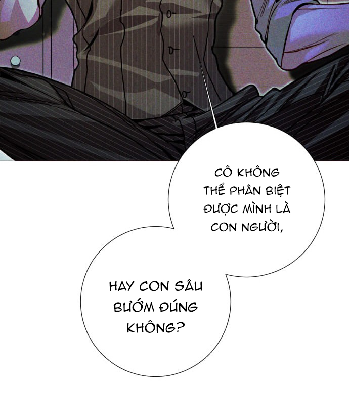 the queen of flies chapter 3.2 3