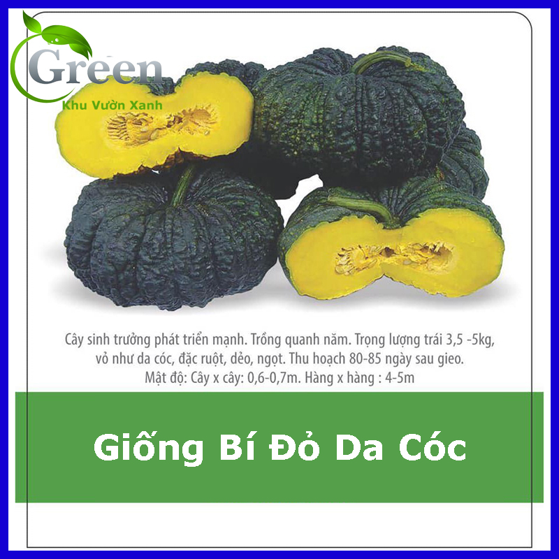 Hạt Giống Bí Đỏ Da Cóc