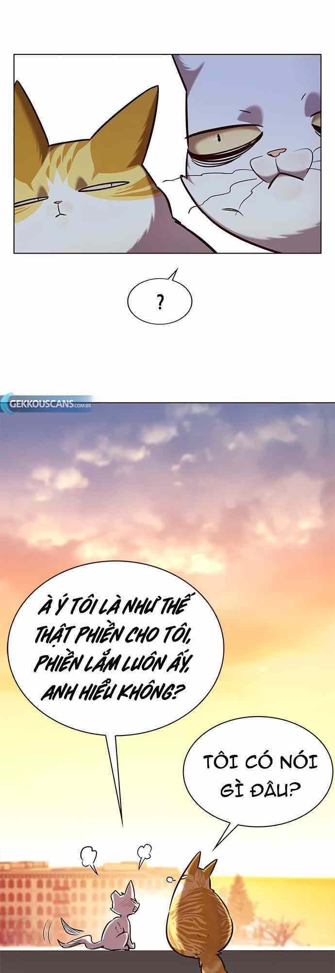 biến thân thành mèo chapter 232 37