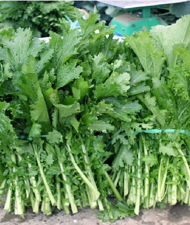 Hạt giống rau cải mèo Hà Giang - gói 100gram