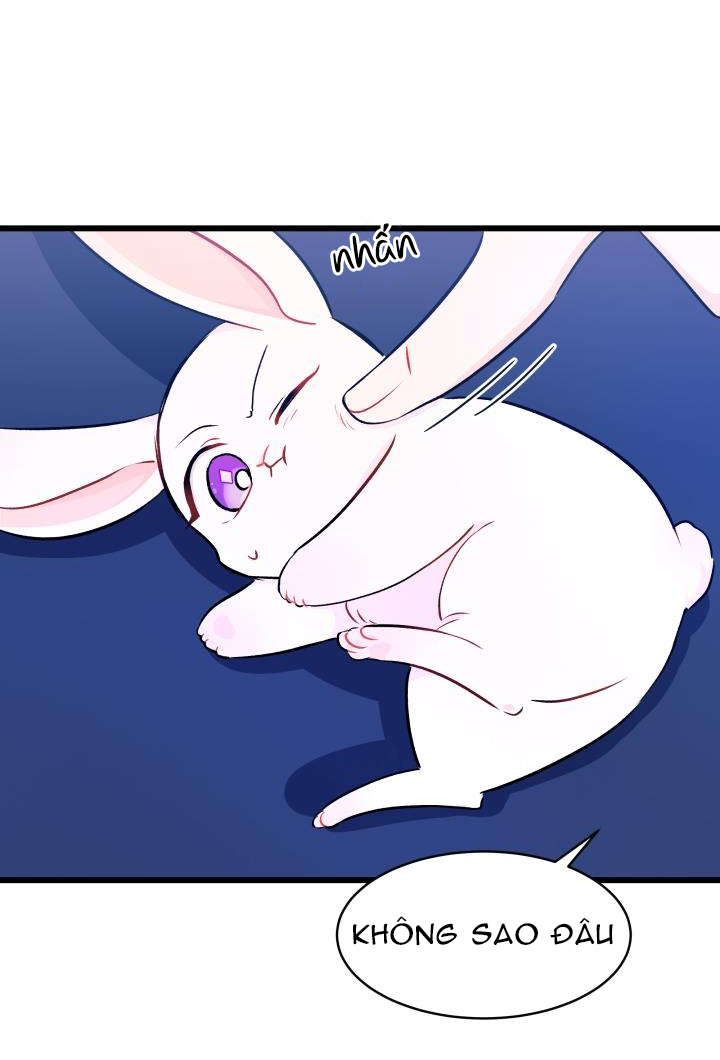 mối liên kết giữa báo đen và bé thỏ chapter 10 20