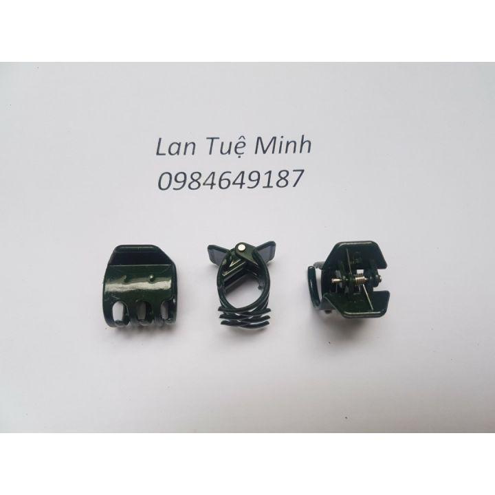 Set 100 Kẹp đại cố định lan thân to màu xanh