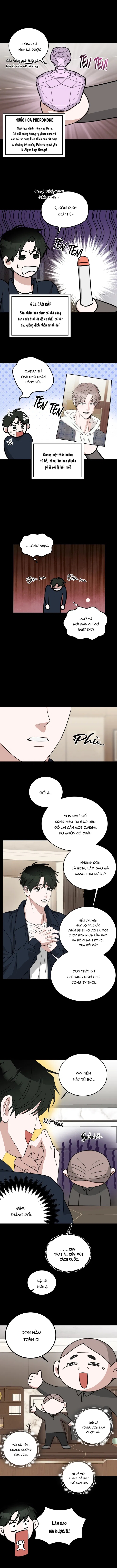 tôi không phải beta đâu nhé! chapter 1 5