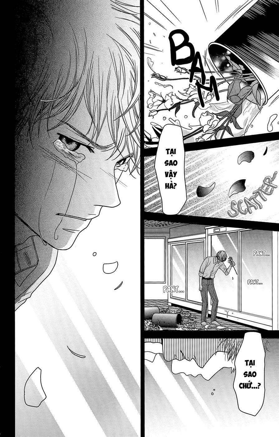 đóa hoa năm ấy chapter 3 43