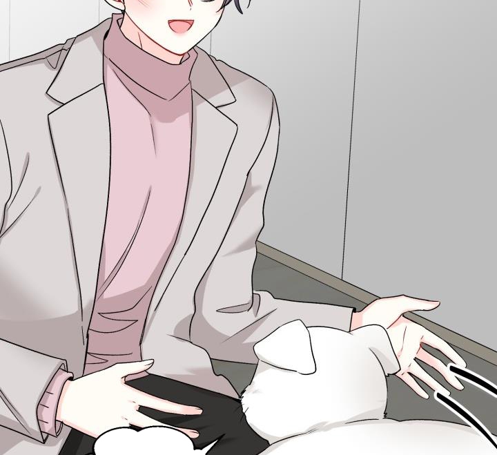 xác suất tình yêu chapter 62 5