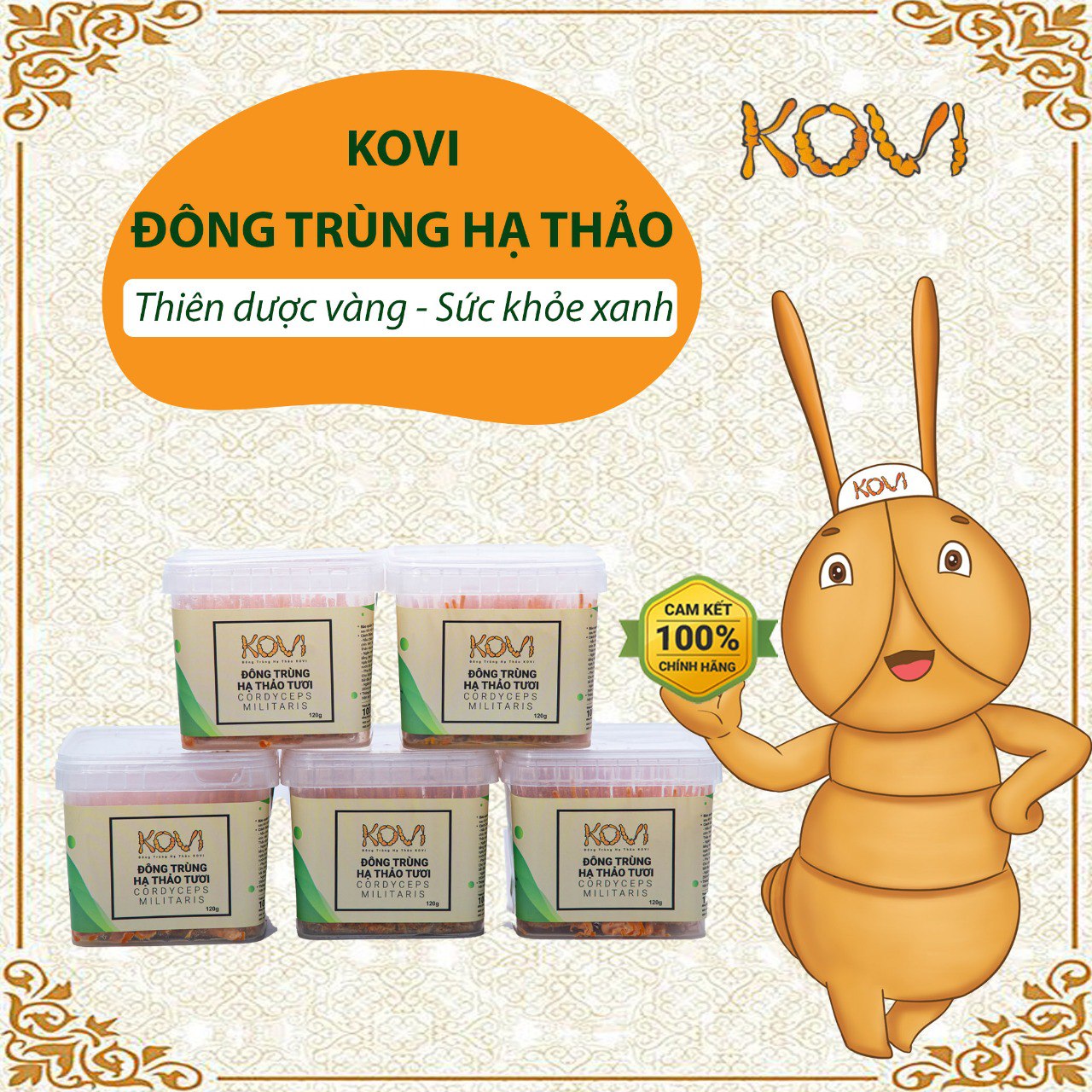 Đông Trùng Hạ Thảo Tươi Kovi Hộp 150g