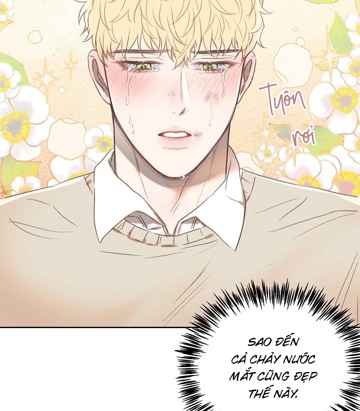 đại úy lãng mạn thân yêu của tôi chapter 5 66