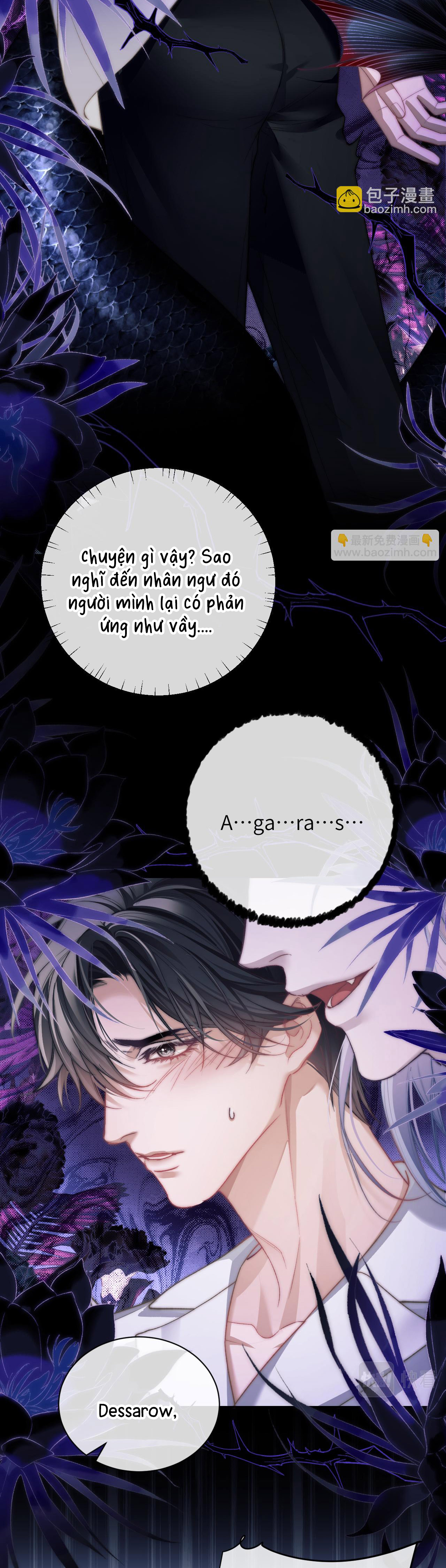 nhân ngư dessaro chapter 11 22