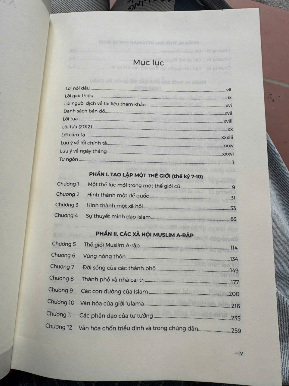 (Bìa cứng) LỊCH SỬ CÁC DÂN TỘC A-RẬP - Albert Hourani - Tâm Phong dịch – Omega Plus