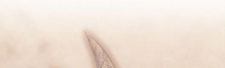 em ấy muốn trở thành chồng của tôi chapter 33.1 319