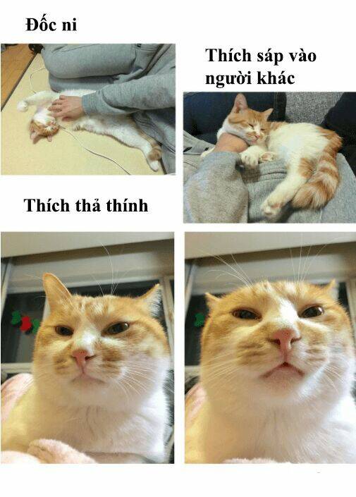 đại thánh và tiểu yêu chapter 50 25