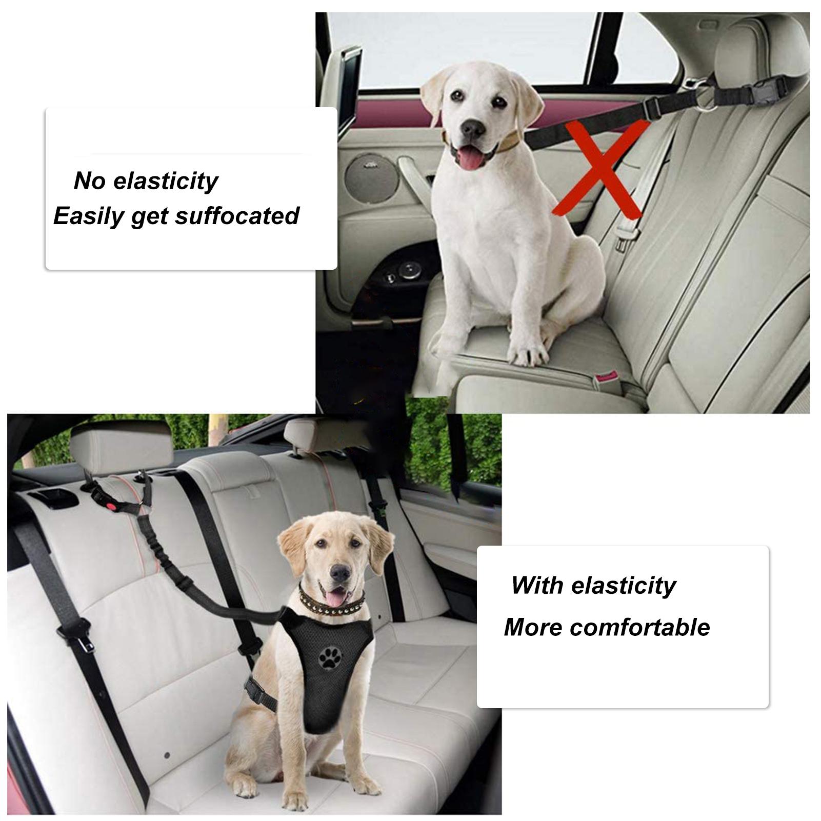 100cm dây đai dắt chó bằng nylon có độ bền cao, Móc xoay 360 tiện lợi