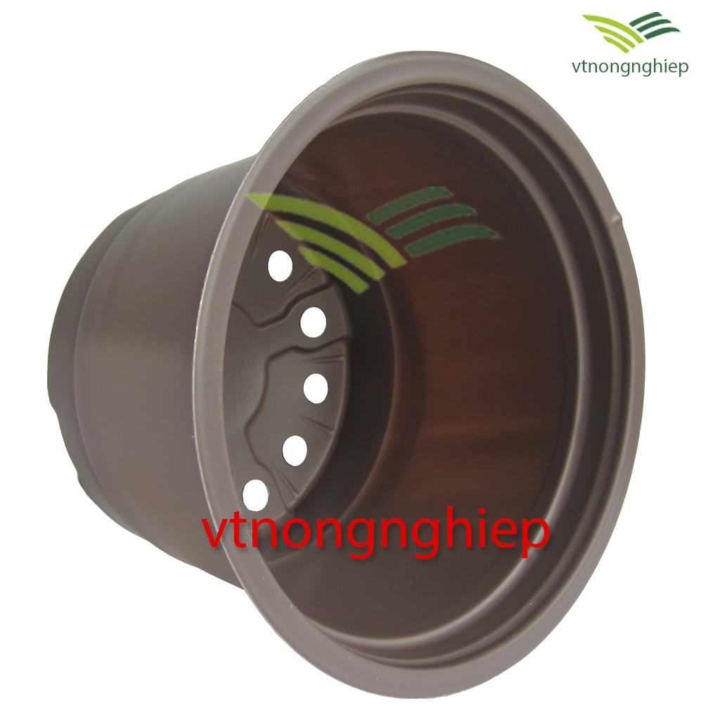 Chậu nhựa trồng Hoa CH-23x16 màu xám nâu, màu đỏ đất, màu trắng