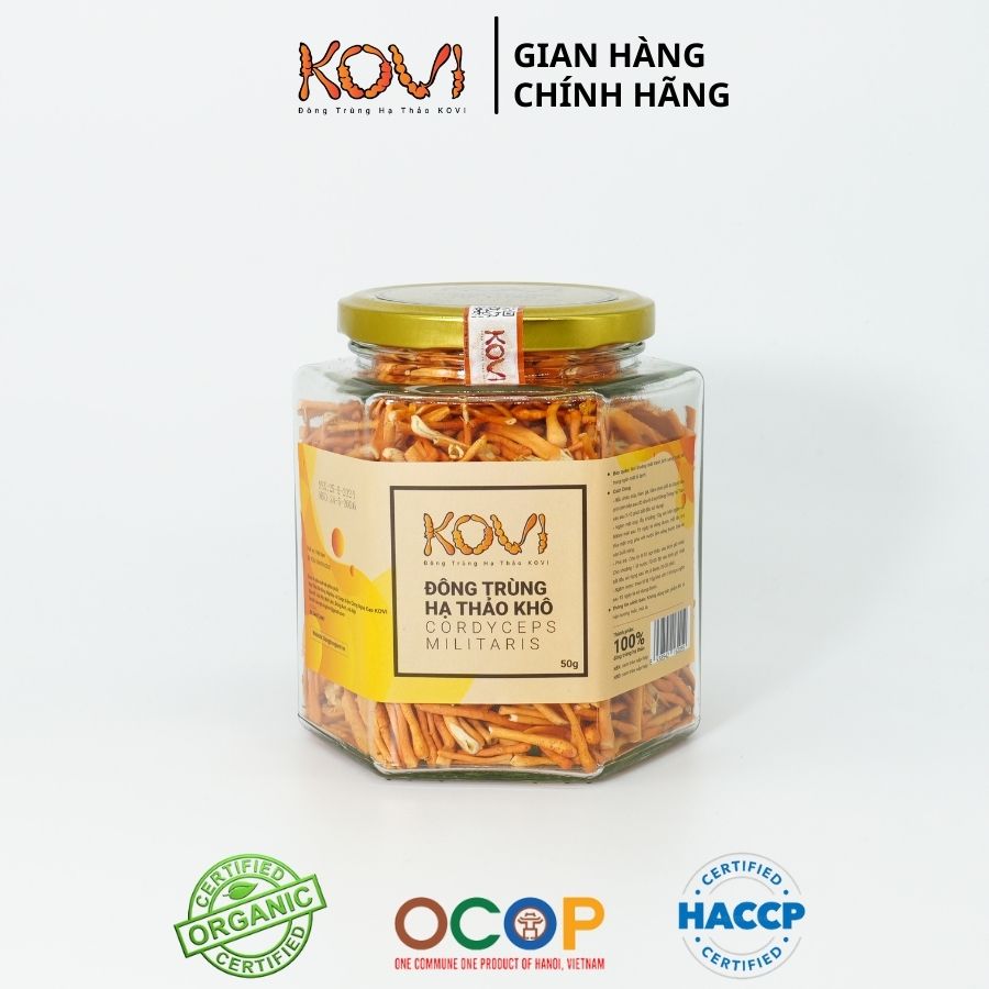 [Mua 3 tặng 1] Đông trùng hạ thảo KOVI khô sấy thăng hoa 50g | Combo ưu đãi