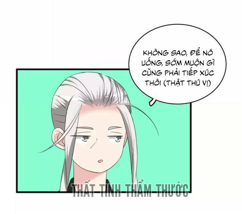lều khều biết yêu chapter 79 39