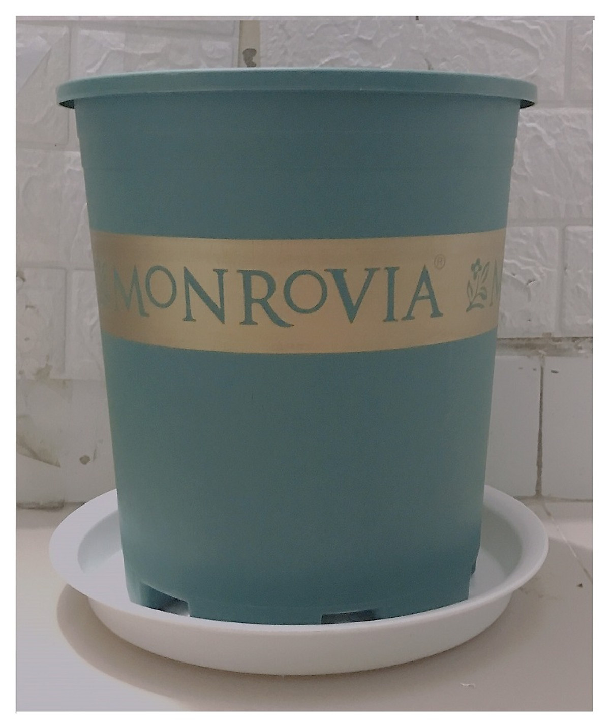 Combo 3 Chậu MONROVIA CH Garden 3Gal Màu Xanh + 3 Khay Lót Đế Chậu D270