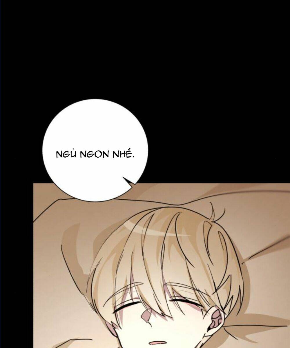 ta đã từng mong nàng biến mất chapter 11.3 15