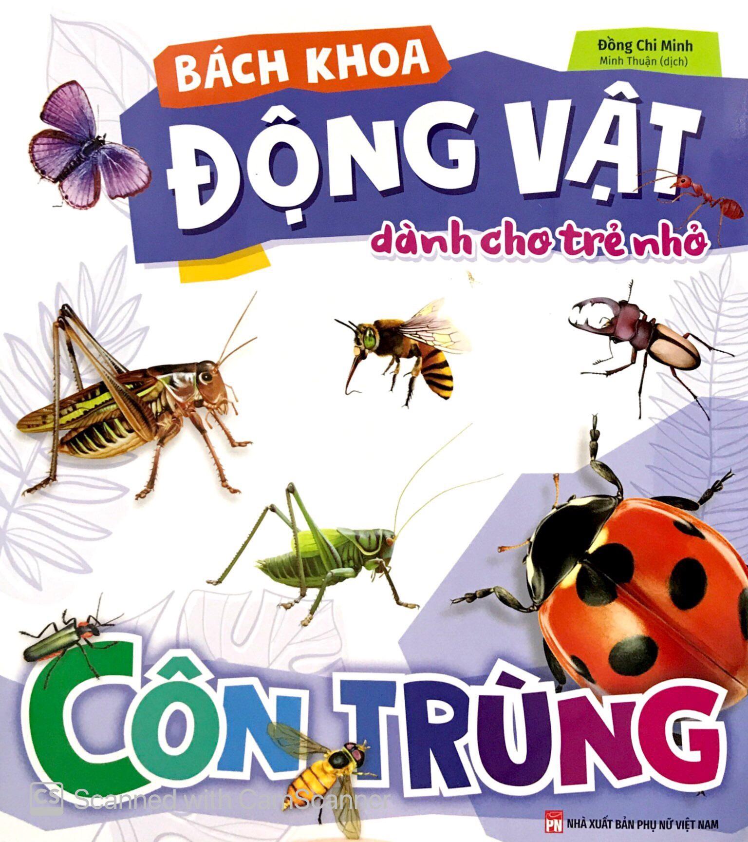 Bách Khoa Động Vật Dành Cho Trẻ Nhỏ - Côn Trùng