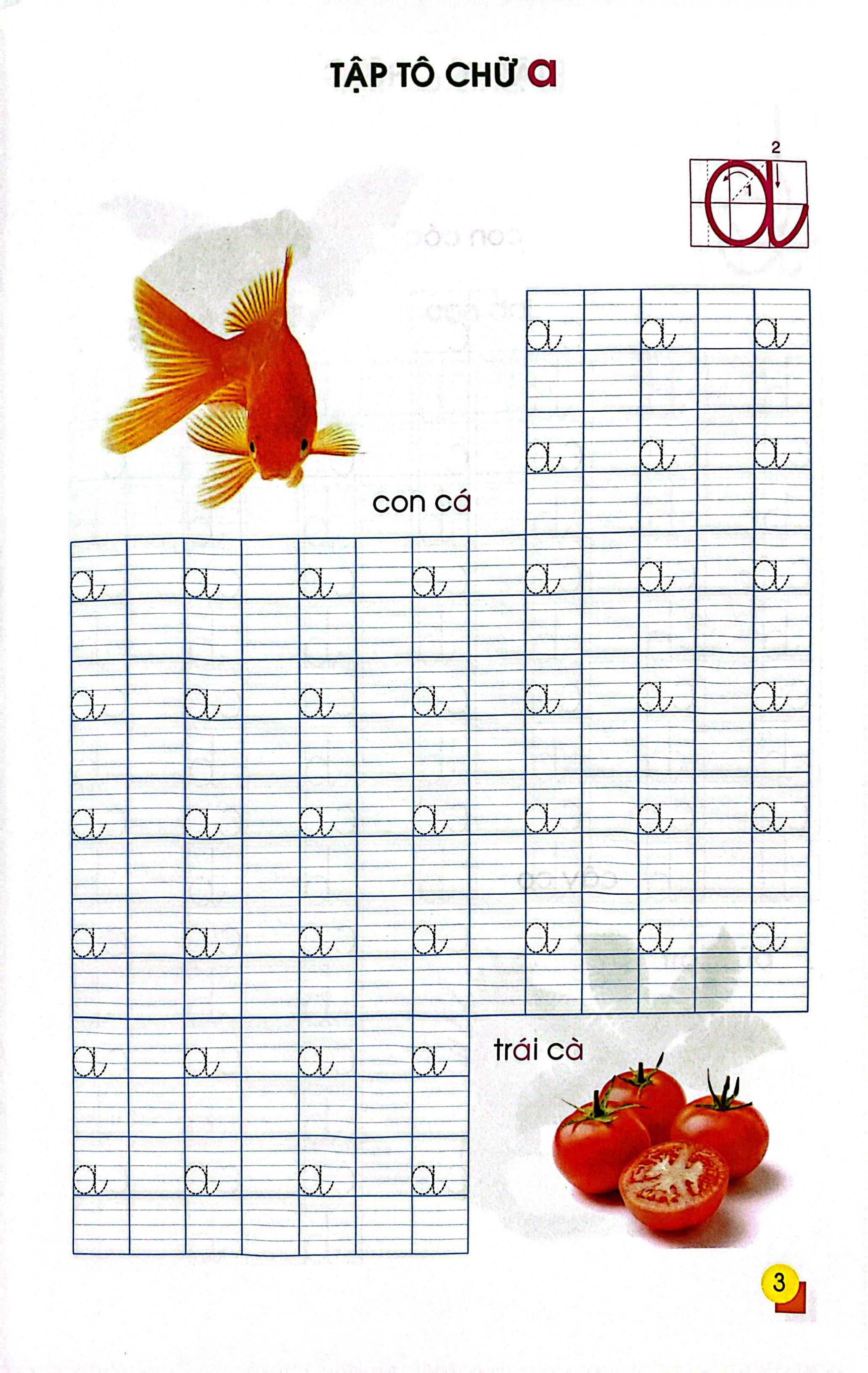 Sách - Tập Tô Chữ Mẫu Giáo 4-5 Tuổi