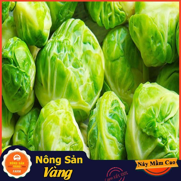 Hạt giống Bắp Cải Tí Hon Xanh