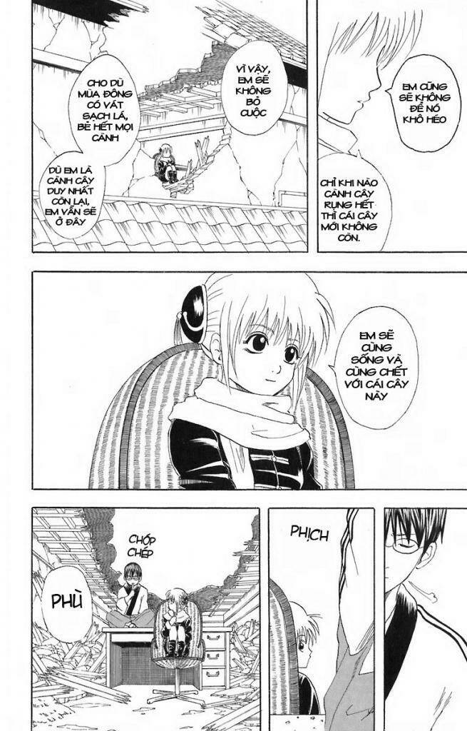 gintama - linh hồn bạc chapter 51 6