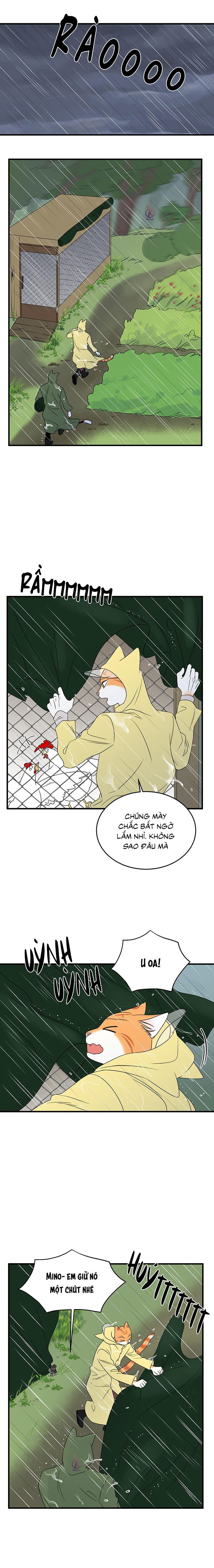 dự án xanh chapter 46 11