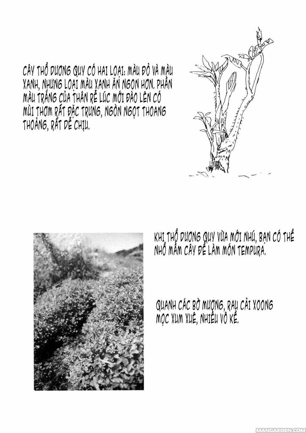 little forest chapter 8 9