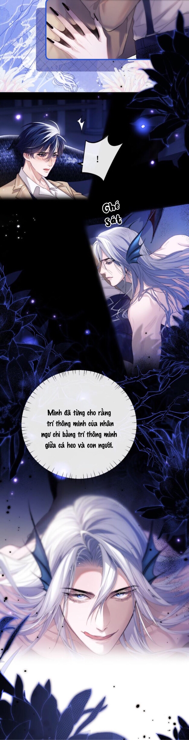 nhân ngư dessaro chapter 3 14