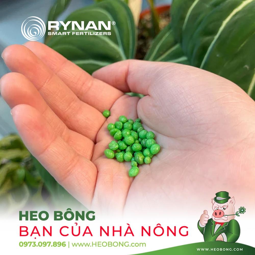 Phân thông minh RYNAN 230 chuyên bón cây BONSAI - KIỂNG LÁ - TAN CHẬM 6 THÁNG