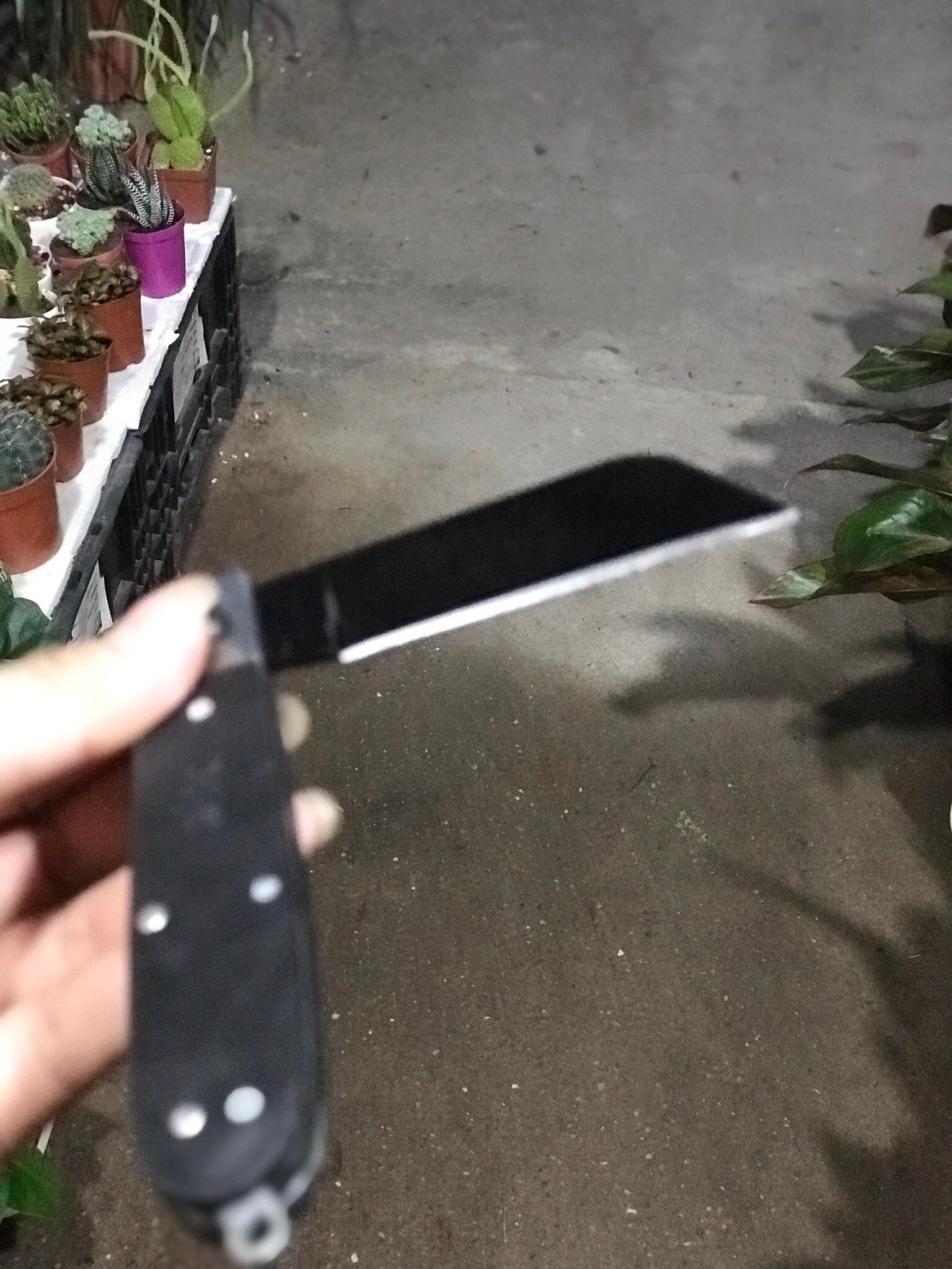 Bộ 3 dụng cụ chiết ghép cây lưỡi đen cán gập, giấy ghép tự hủy khổ 5cm, viên đá mài Nhật Bản cao cấp