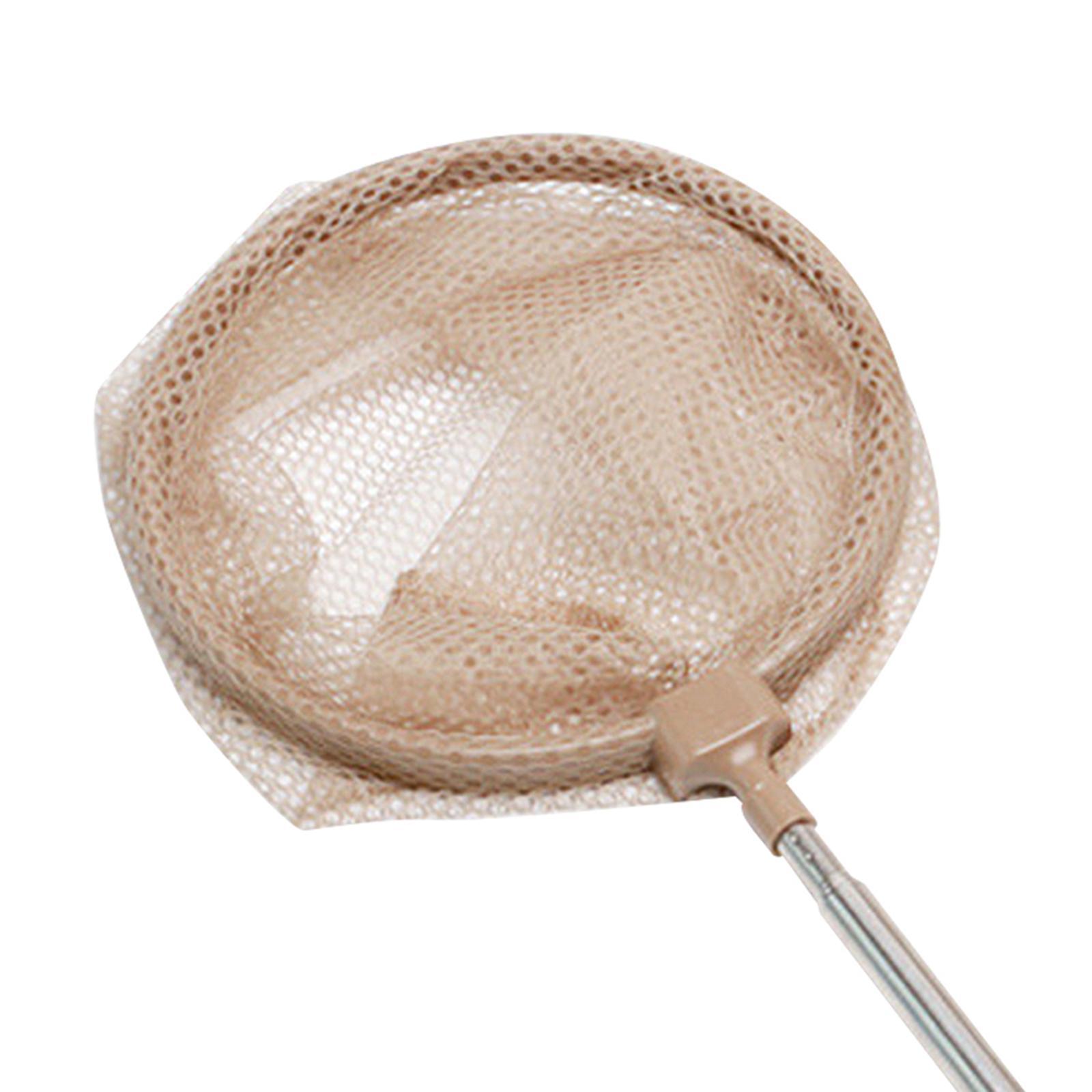 Insectsalescom boxes butterfly catchers jar Butterfly Net