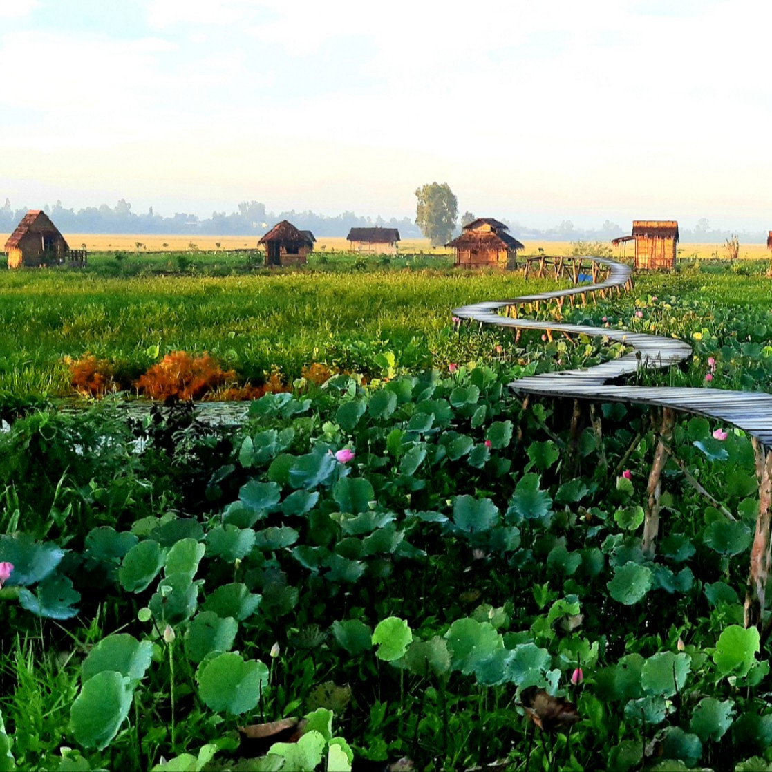 CHƯƠNG TRÌNH NGHỈ DƯỠNG VÀ TRẢI NGHIỆM TẠI VIETMEKONG FARMSTAY KÝ ỨC MIỀN QUÊ ĐỒNG THÁP MƯỜI