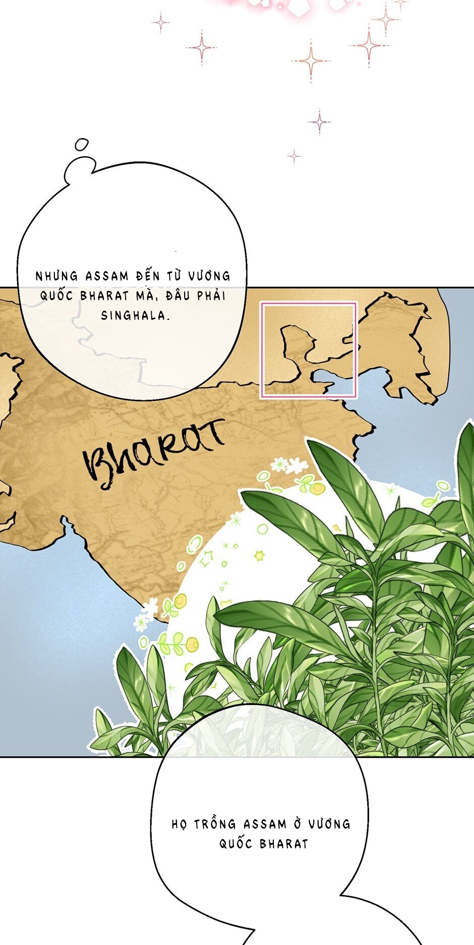 50 công thức pha trà của nữ công tước chapter 122 34