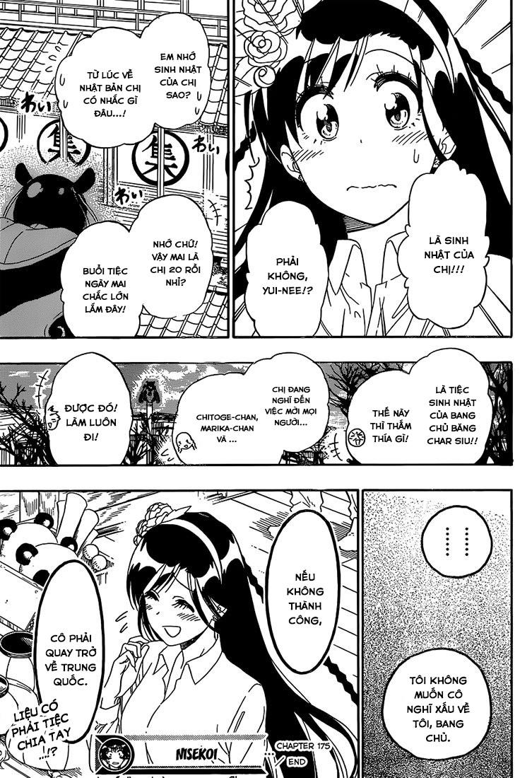 nisekoi - tình yêu giả tạo chapter 175 21