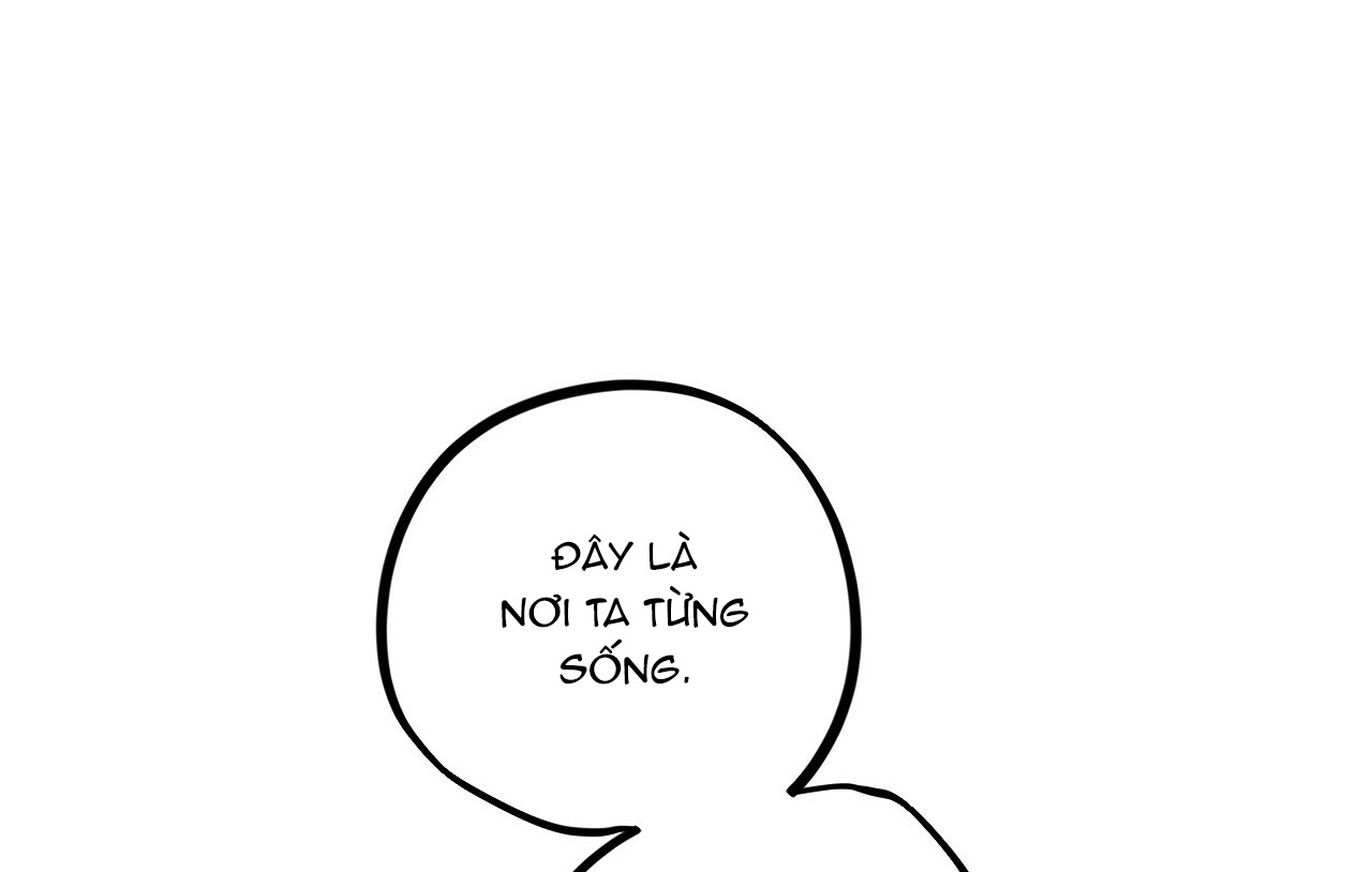 đàn thỏ của habibi chapter 19 241