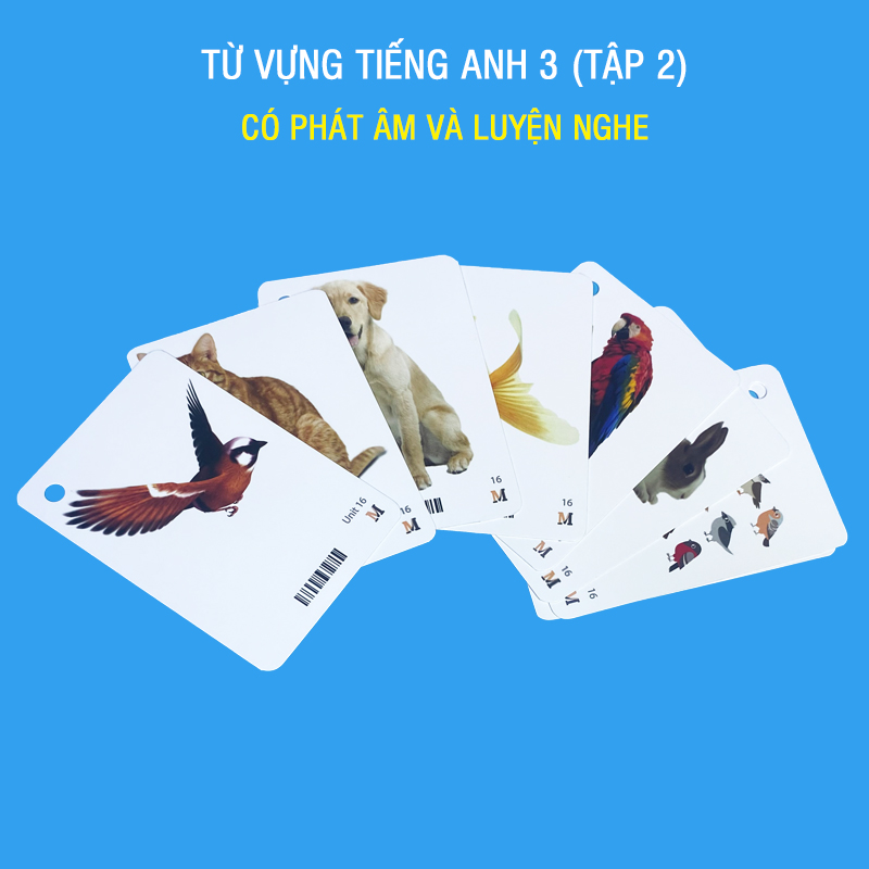 Flashcard tiếng Anh Lớp 3 (Tập 2) BGD, có phát âm, hình ảnh và màu sắc sinh động