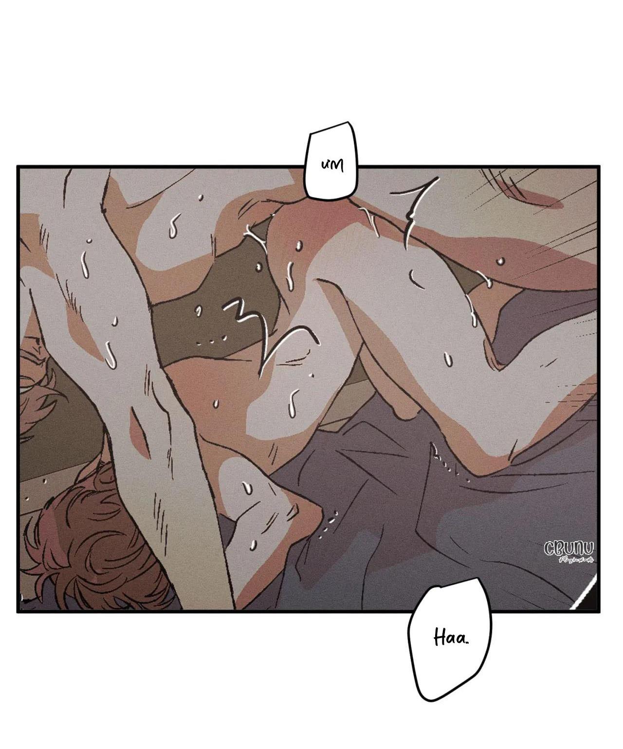 bẫy đôi ngọt ngào chapter 17 66