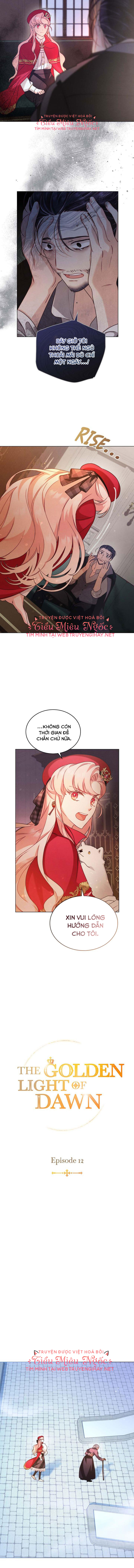 ánh sáng của bình minh chapter 12 2