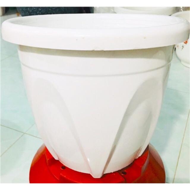 Chậu nhựa vành, Tròn Giác, Tròn Cao )